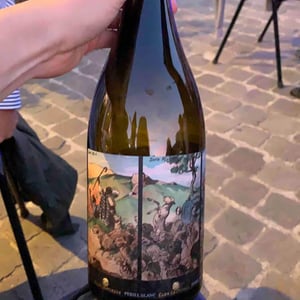 Clos Lentiscus - Manel Aviñó - Perill Blanc
