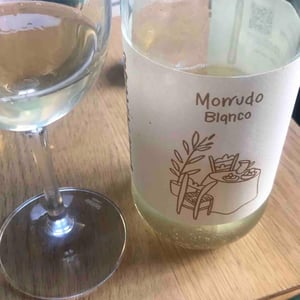 Morrudo Blanco - Bodega La Cerrada - Javier and Jesús Temprado 