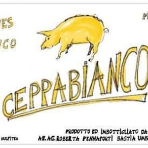 Ceppa Bianco - Piccolo Podere del Ceppaiolo - danilo-marcucci-riccardo-pennaforti