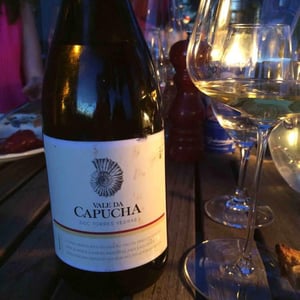 Branco 2013
