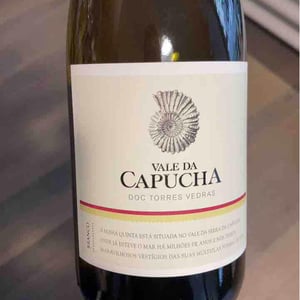 Branco - Vale da Capucha - pedro-marques