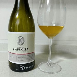 Branco - Vale da Capucha - Pedro Marques 