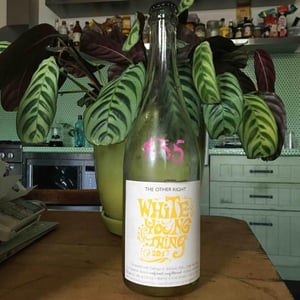 White Young Thing - The Other Right - Alex Schulkin & Galit Shachaf 