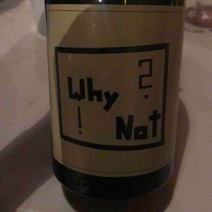 Weingut Edgar Brutler - Johann, Katharina, & Edgar Brutler, Philipp Heinzl - Why? Not!