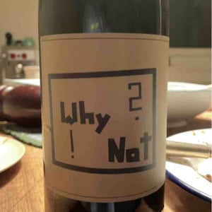 Weingut Edgar Brutler - Johann, Katharina, & Edgar Brutler, Philipp Heinzl - Why? Not!
