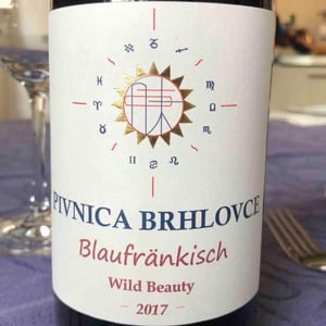 Wild Beauty - Pivnica Brhlovce - Jan Zaborsky 
