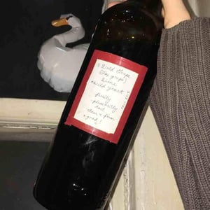 wild grape (fox grape!) - maryland - victoria-greba