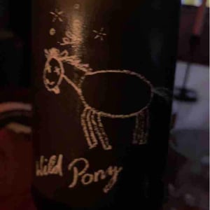 Wild Pony - Weingut Bianka und Daniel Schmitt - daniel-bianka-schmitt