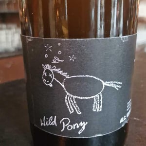 Wild Pony 2021