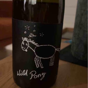 Weingut Bianka und Daniel Schmitt - Daniel & Bianka Schmitt - Wild Pony