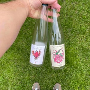 Wijngaard Dassemus - Ron Langeveld & Monique van der Goes - Wilde Rosé