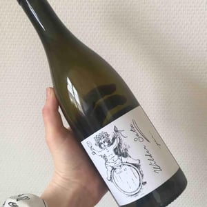 Brand Bros - Weingut Brand - Daniel & Jonas Brand - Wilder Satz