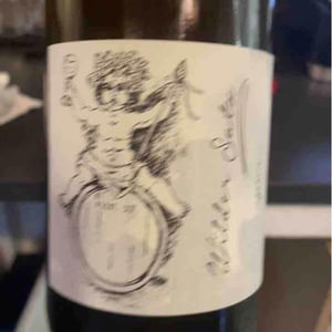 Brand Bros - Weingut Brand - Daniel & Jonas Brand - Wilder Satz