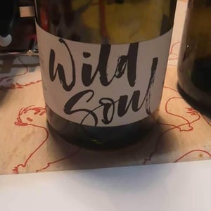 Wild Soul - Julien Sunier - julien-sunier