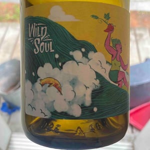 Wild Soul - Julien Sunier - Julien Sunier 