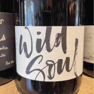 Wild Soul - Julien Sunier - Julien Sunier 