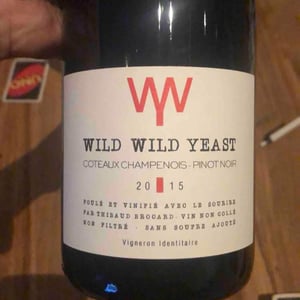 Wild Wild Yeast - Champagne Brocard Pierre - thibaud-brocard