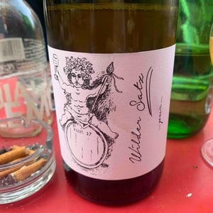 Brand Bros - Weingut Brand - Daniel & Jonas Brand - Wilder Satz