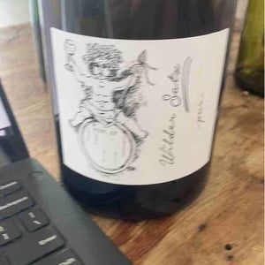 Wilder Satz - Brand Bros - Weingut Brand - Daniel & Jonas Brand 