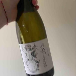 Brand Bros - Weingut Brand - Daniel & Jonas Brand - Wilder Satz