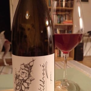 Wildrosé - Brand Bros - Weingut Brand - daniel-jonas-brand