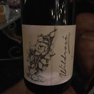 Wildrosé - Brand Bros - Weingut Brand - daniel-jonas-brand