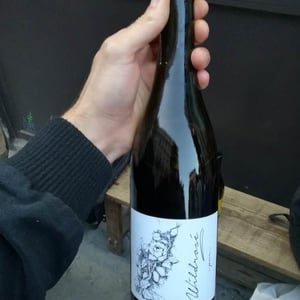 Brand Bros - Weingut Brand - Daniel & Jonas Brand - Wildrosé
