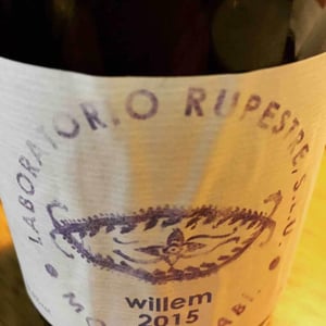 Willem - Laboratorio Rupestre - Erik Rosdahl 
