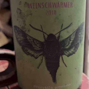 Weinschwärmer 19