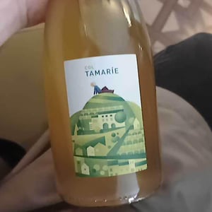 Col Tamarìe - Col Tamarie - alberto-dalle-crode
