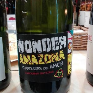 Wonder Amazona - Solo El Amor Salvara Al Mundo - Pablo Quiroga 
