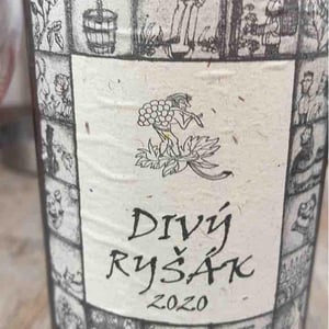 Divy Rysák - Richard Stavek - richard-stavek