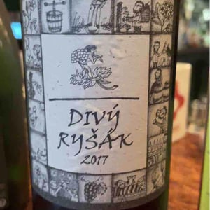 Divy Rysák - Richard Stavek - richard-stavek