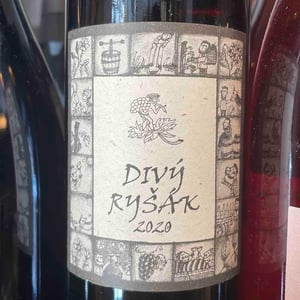 Divy Rysák - Richard Stavek - Richard Stavek 