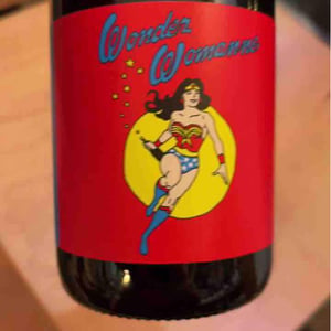 Wonder Womanne - Autour de l'Anne - Anne Leclerc Paillet 