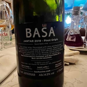 Basa - Bashavino.com - bojan-basa