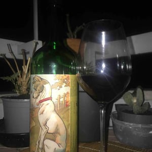 Wow Wow - Clos Lentiscus - Manel Aviñó 