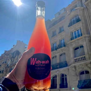 Wah Wah Watusi - Domaine Le Clocher - Les Vins de Sainte Anne - brendan-sean-tracey -2020