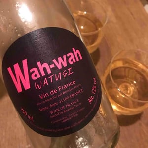 Wah Wah Watusi - Domaine Le Clocher - Les Vins de Sainte Anne - brendan-sean-tracey -2020