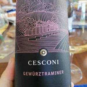 Gewurztraminer - Cesconi - cesconi