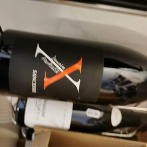 X - Domaine Fouassier - Benoit & Paul Fouassier 