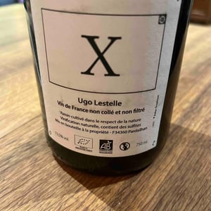 X - Ugo Lestelle - Ugo Lestelle -2020