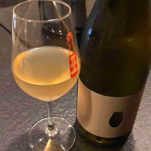 Vinyes Singulars - Ignasi Segui - Amphora Xarel-Lo