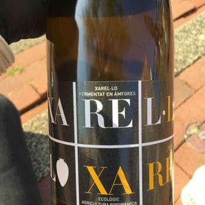 Amphora Xarel-Lo - Vinyes Singulars - Ignasi Segui 
