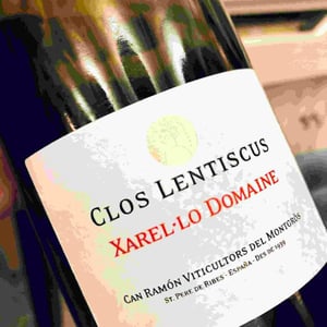 Xarel·lo Domaine - Clos Lentiscus - Manel Aviñó 