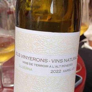 Xarello - Anima Mundi - agusti-torello-roca