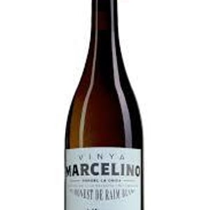 Xarel.lo Vell - Munné & Peris Vinicultors - Àlex Peris i Joan Munné 