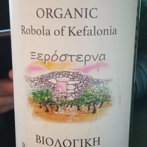 Xerosterna - Euphoria - Euphoria -2022