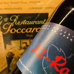 Xi-Ro - Domaine Ligas - Ktima Ligas - Meli Ligas & Thomas Ligas 