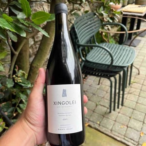 xingolei - Domaine Goienetxea - domaine-goienetxea -2021